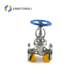 DIN Globe Valve